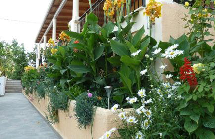 Anna Studios - Foto 24