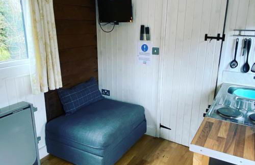 Luxury cosy carriage with electric private hot tub - Photo 18