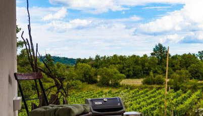Villa Klara - Foto 5, Garden, Garden view