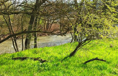 Ferienhaus Laila - Foto 14