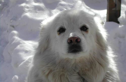 Residence Chris Appart - Foto 74