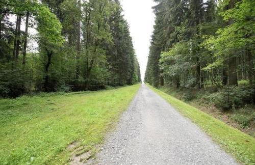 Ferienhaus in Vogtland - Foto 50