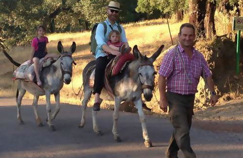 Molino Rio Alajar - Foto 11