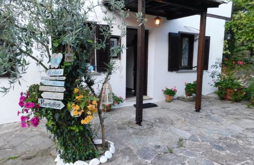 Guesthouse To kalivi - Foto 51