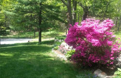 Harvard House-The Gathering Place - Foto 28