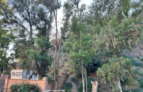 Apartamento Amar-Cura - Photo 25