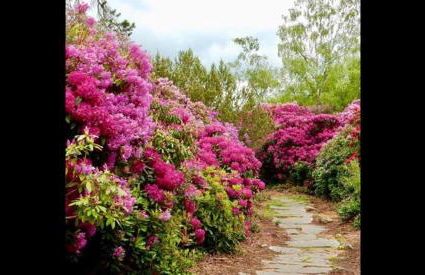 The Orchard House - Foto 86