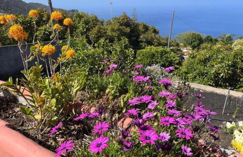 Finca La Calzada - Foto 24