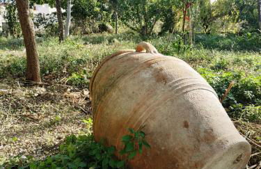 Goldy's Villa - Foto 46