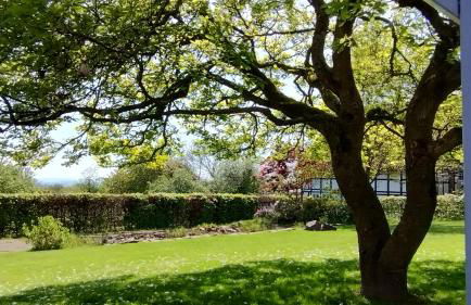 Gemütliche FeWo im Fachwerkhaus - Foto 1