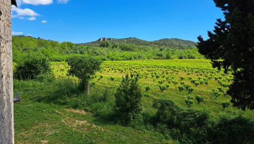 VILLA RIVIERE - Foto 3