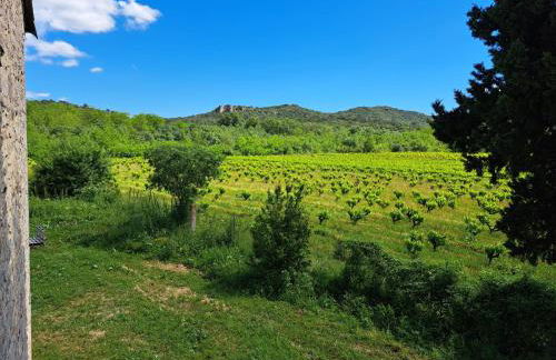 VILLA RIVIERE - Foto 3