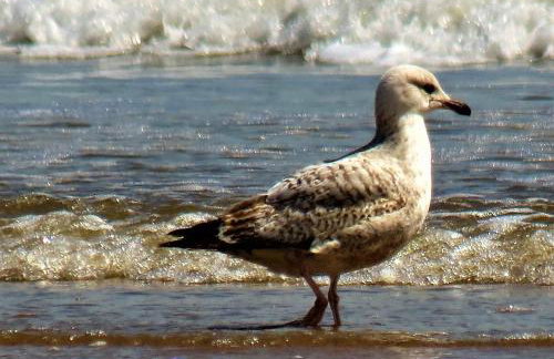 Corner Cwtch - Foto 22