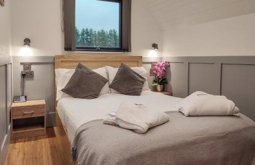 Ben Rinnes - Ukc6028 - Foto 5