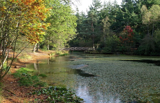 Superb Villa in the Woods of Gaasterland With Wifi and Fireplace - Foto 24