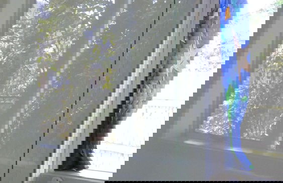 Westport Holiday Park And Motels - Foto 14