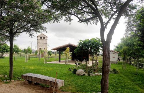 Finca La Calancha - Foto 49