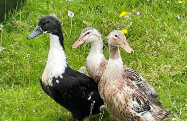 Another Place - Foto 8