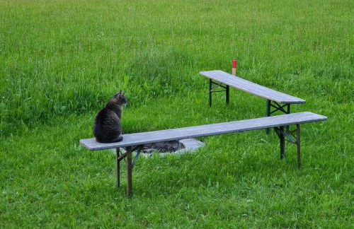Ferienwohnung-Rotmoosblick-direkt-am-Rande-unberuehrter-Natur - Foto 20