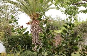 Lovely villa in the gorgeous Porto Hydra - Foto 47