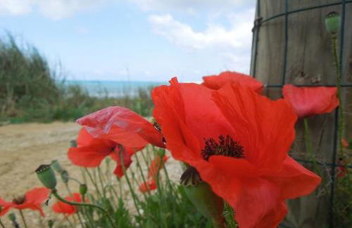 Villa Cipollazzo - Foto 29