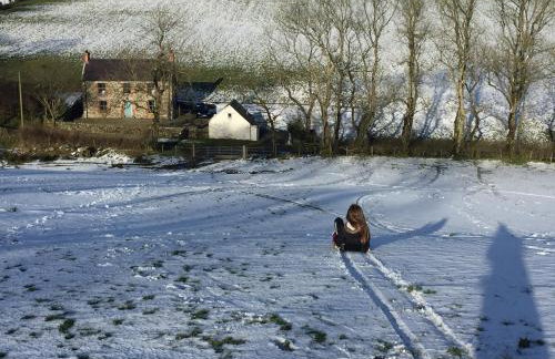 Whitehill Cottage - Photo 14