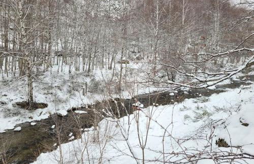 Chalet bois au coeur des Pyrénées ariégeoises - Foto 24