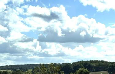 Gehobenes Wohnen mit Balkon, Parkplatz und keine 10 Minuten in die City - Foto 18