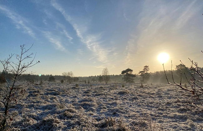 Glass Veranda Chalet in Nature - Foto 23