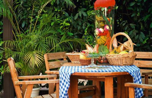 Flat in Alsace near Vosges Nature Park - Foto 13