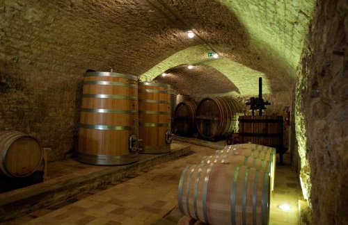 Agriturismo Tenuta Conti Faina - Foto 17