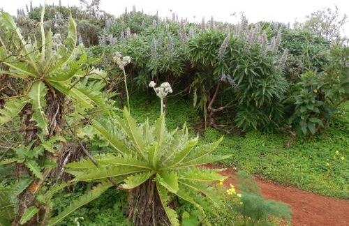 Villa Deluxe Suites Maspalomas - Photo 58
