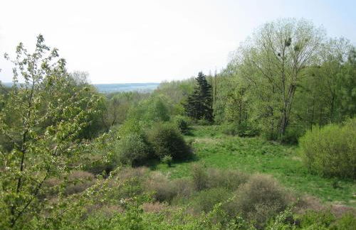 Ferienhaus am Silbersee 86 - Foto 35