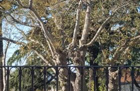 Monolocale turistico Valentini - Foto 9