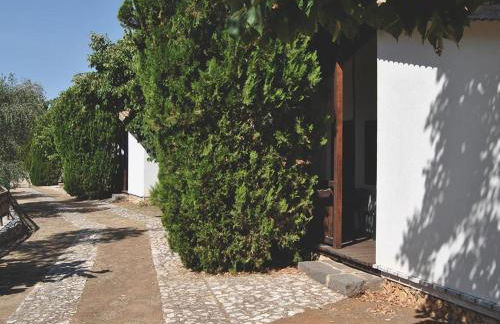 B&B Agriturismo 'A Cunziria - Foto 51