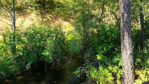 RV42 with Large Deck on a Creek - Foto 4