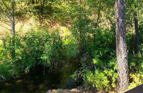 RV42 with Large Deck on a Creek - Foto 4