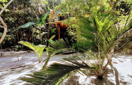 CHaLéS GuiGó, Refugio em meio a natureza - Photo 68