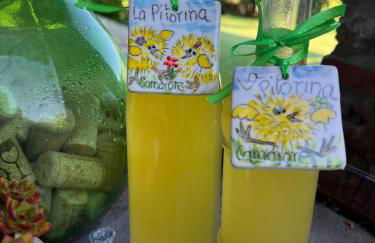 La Pitorina Holidayhome - Foto 5