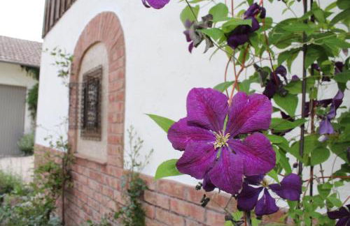 Zum Stadlbauern - Foto 27