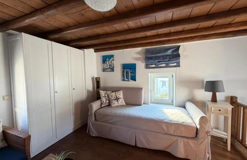 COZY CYCLADIC HOME , close to Ornos beach - Photo 17