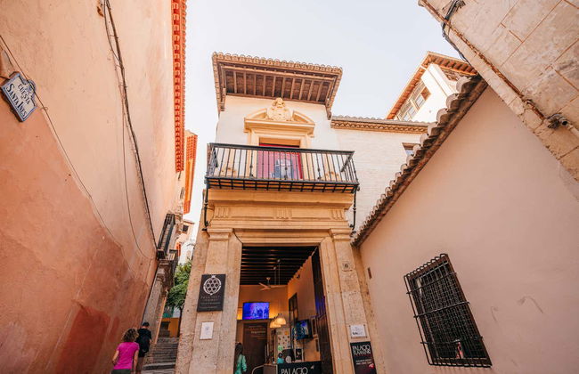 Spectacle de flamenco au Tablao Palacio Flamenco - Photo 2
