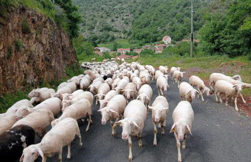 La Cabane du Berger & son terrain de pétanque - Foto 43