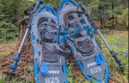 Luxe Chalet at Rainier Entrance with Hot Tub-AC-WiFi - Photo 9