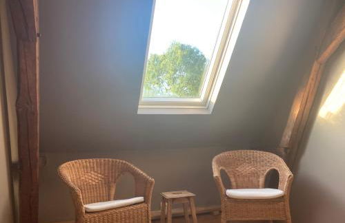 Au coin du loup, monts de Flandres, Zwarteberg - Foto 20