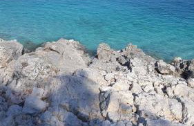 Apartments Ljube - Foto 11