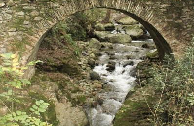 Très jolie maison aux portes du Cap Corse - Foto 29