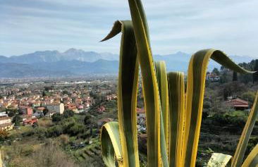 La terrazza di Ameglia alta - relax nel borgo Ligure - Foto 63