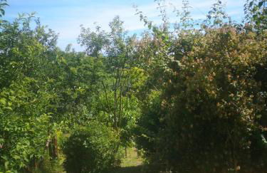 Il CHIOSTRO oasi di pace con antica cantina nel cuore del Monferrato Unesco - Foto 39