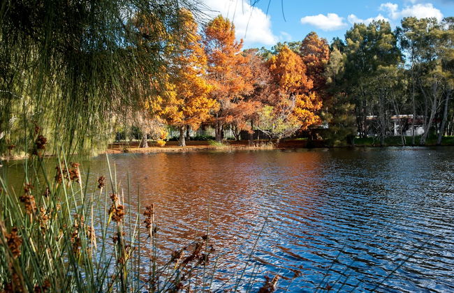 BIG4 Batemans Bay Beach Resort - Photo 36